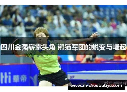 四川金强崭露头角 熊猫军团的蜕变与崛起